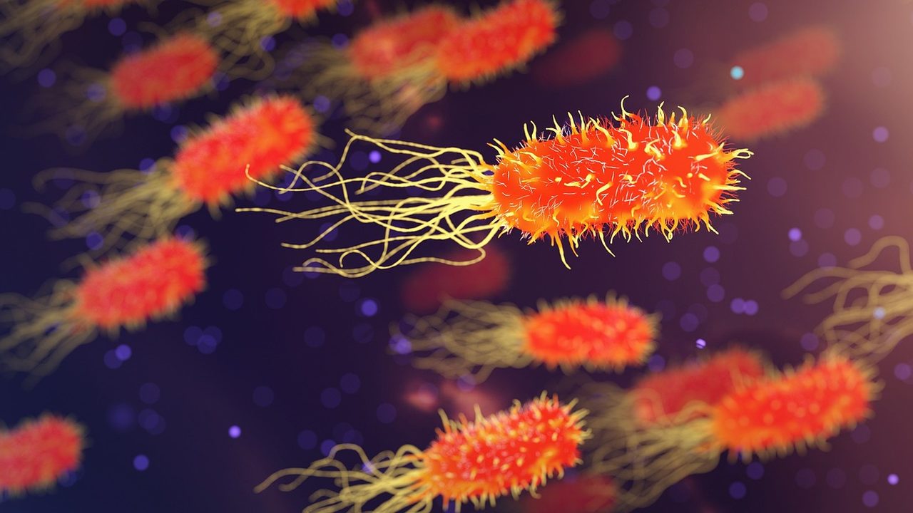 Colorful microscope image of cancer cells under magnification.