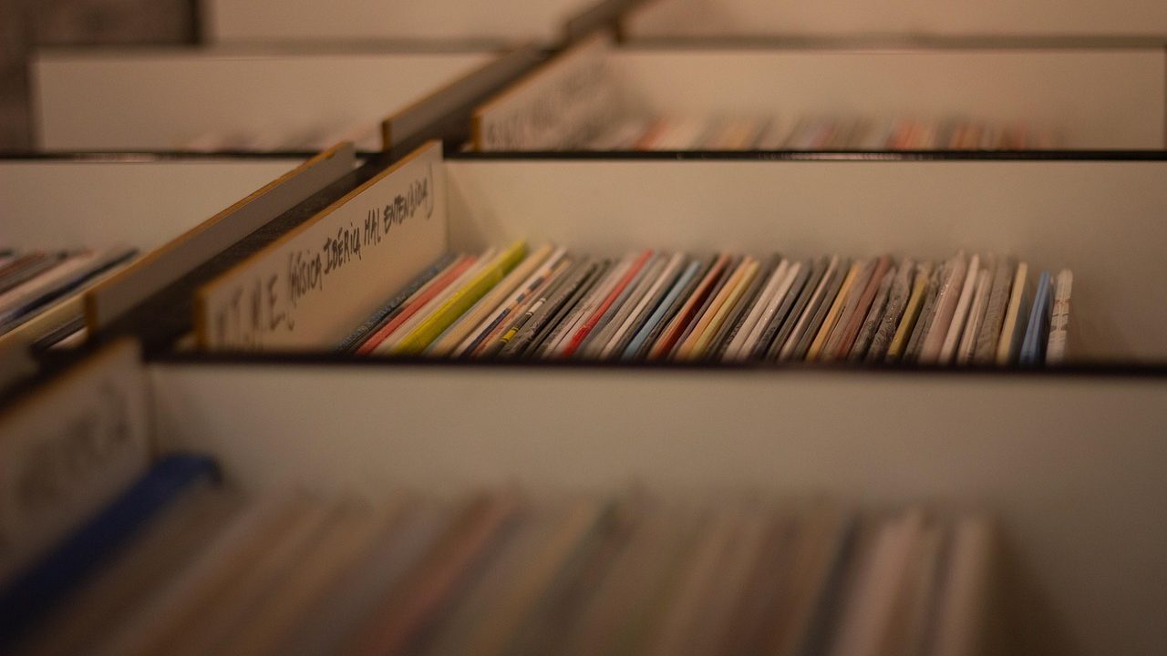 Rows of vinyl record sleeves lined up on wooden shelving in a home music room.