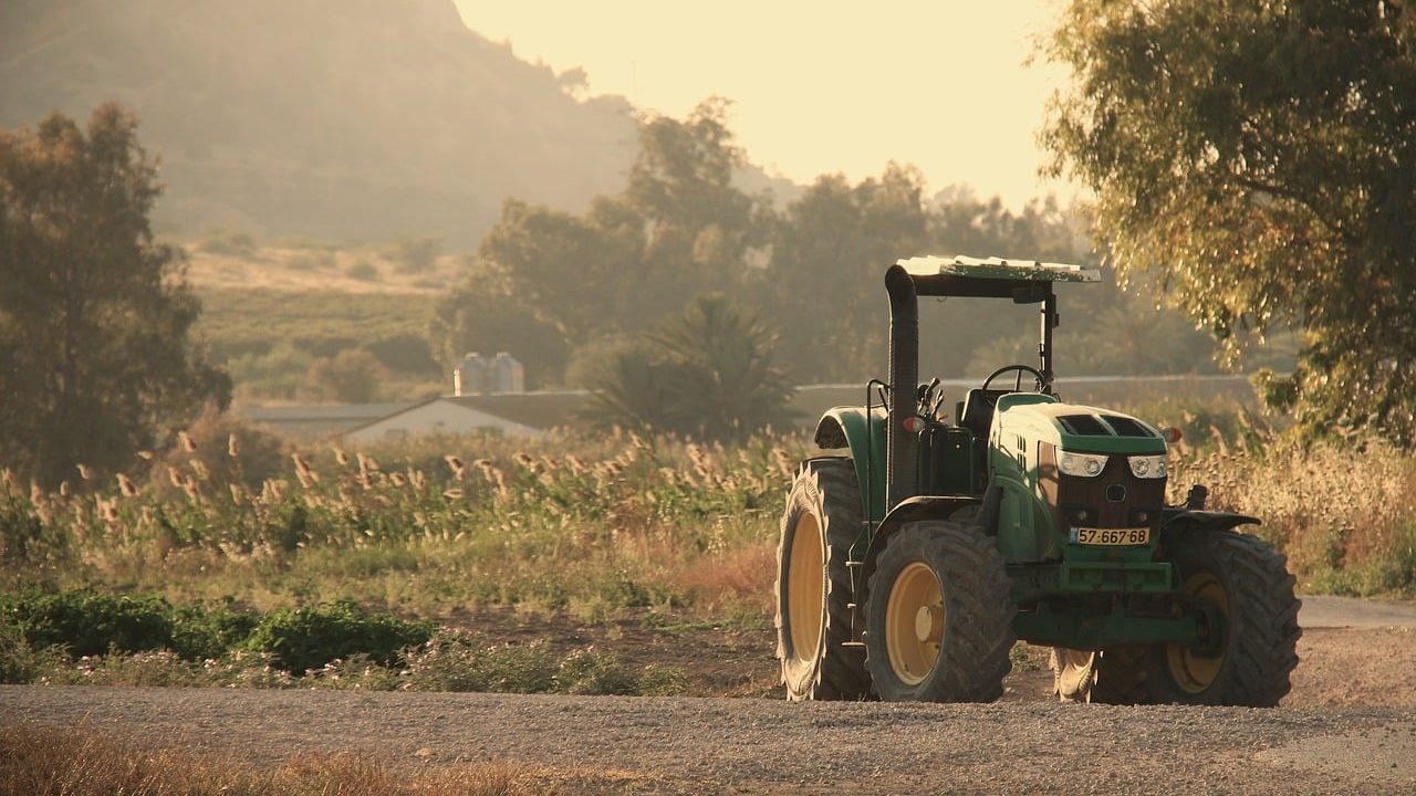 A large green combine harvester working in a grain field at sunrise.