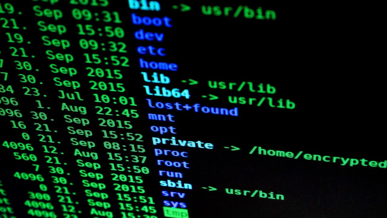 A dark computer monitor displaying lines of green command-line terminal output.