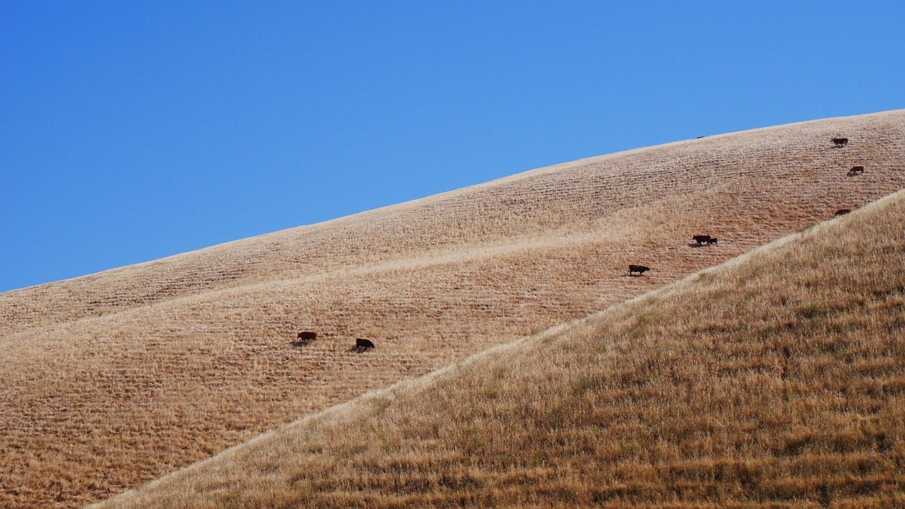Dry golden hillsides stretch across a Southern California landscape under blue sky.