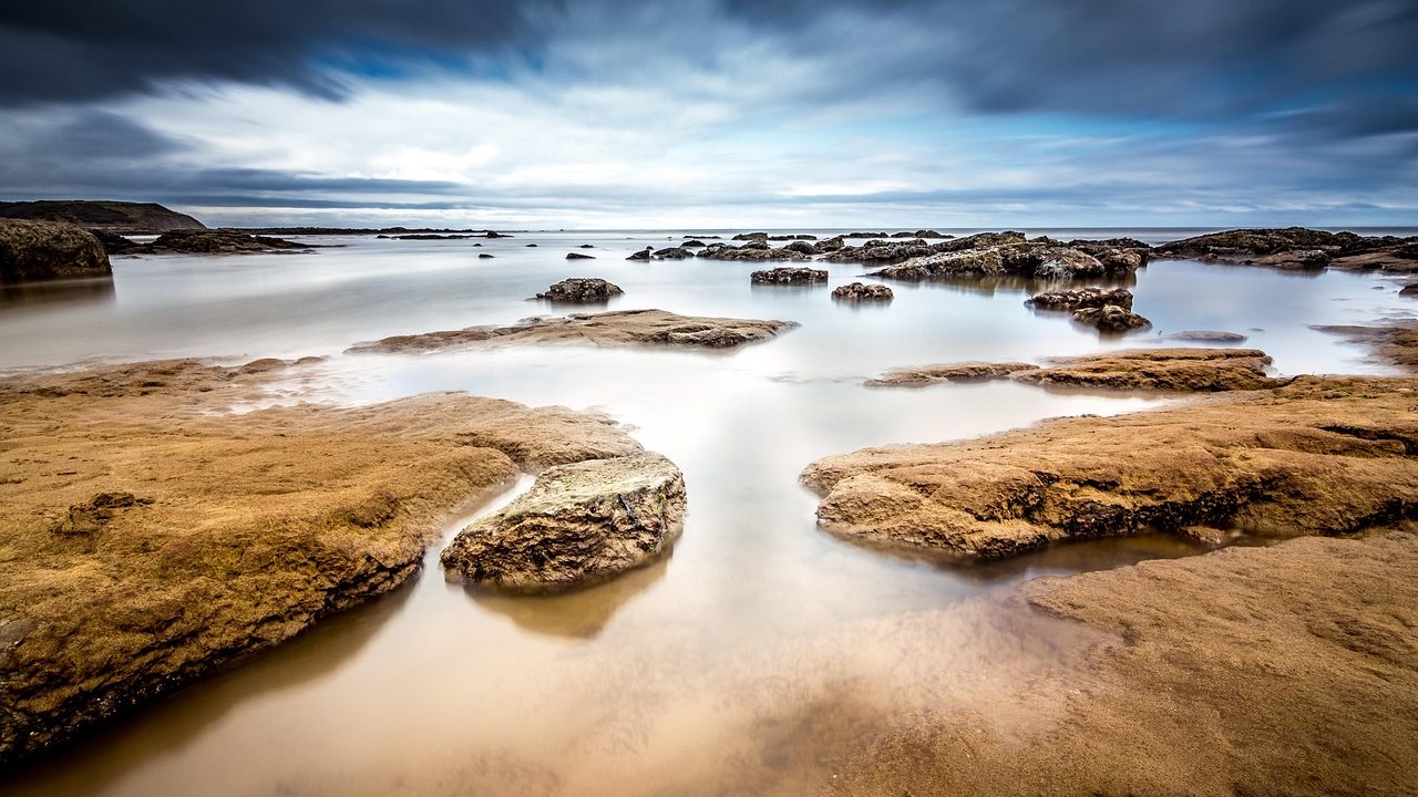 Waves crash against rocky tide pools along a sunlit California coastline.
