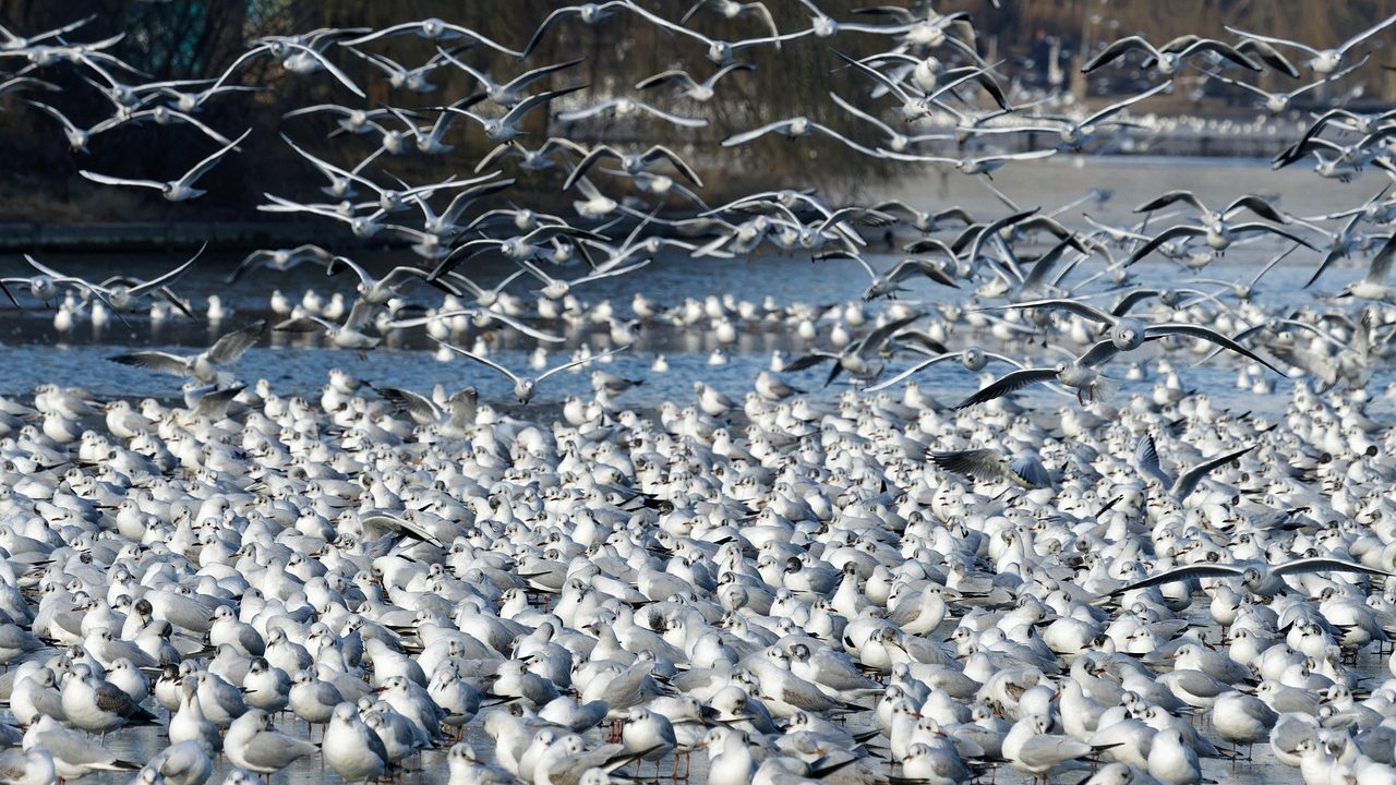 Shallow seawater covers a low-lying coastal parking area during high tide.