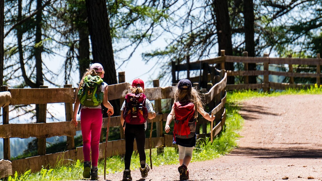 A narrowed dirt trail runs alongside an active construction zone in a park setting.