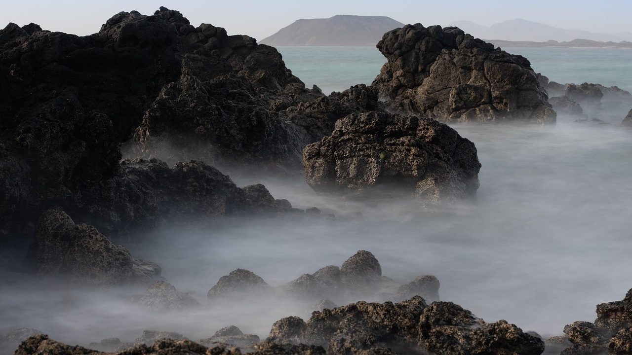 A sea lion resting on rocks along a sunny California coastline.
