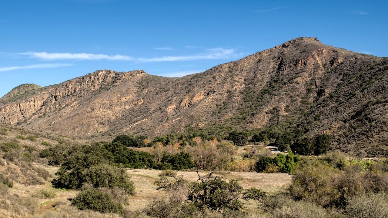 Dry golden chaparral brush covering a California hillside under a clear blue sky.